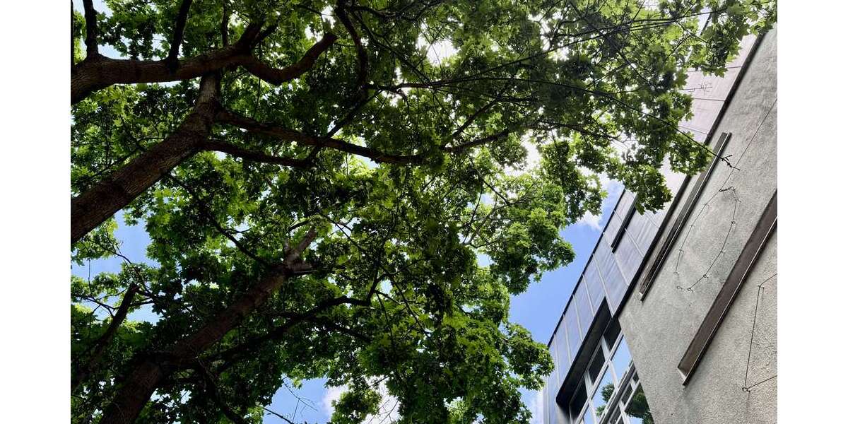 Etagenwohnung Berlin Hakenfelde - 1 Zimmer, 38 m&sup2;, 366&euro; | Angebot:26762671
