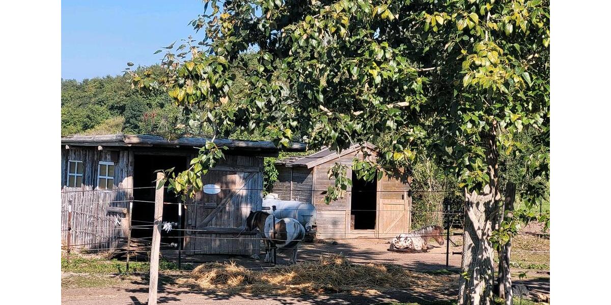 Erdgeschoßwohnung Meßkirch - 2 Zimmer, 47 m&sup2;, 650&euro; | Angebot:24653800