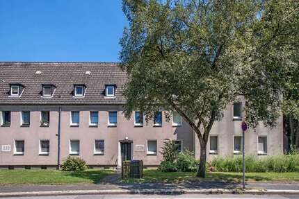 Wohnung Gelsenkirchen Scholven - 2 Zimmer, 35 m&sup2;, 279&euro; | Angebot:27235656