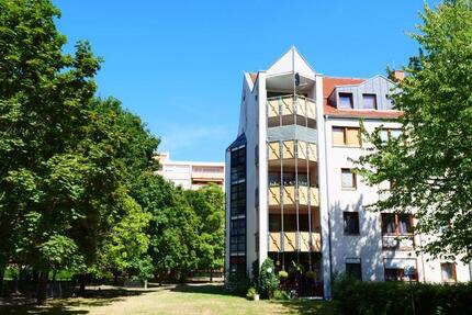 Wohnung Frankenthal (Pfalz) - 2 Zimmer, 65 m&sup2;, 514&euro; | Angebot:25150431