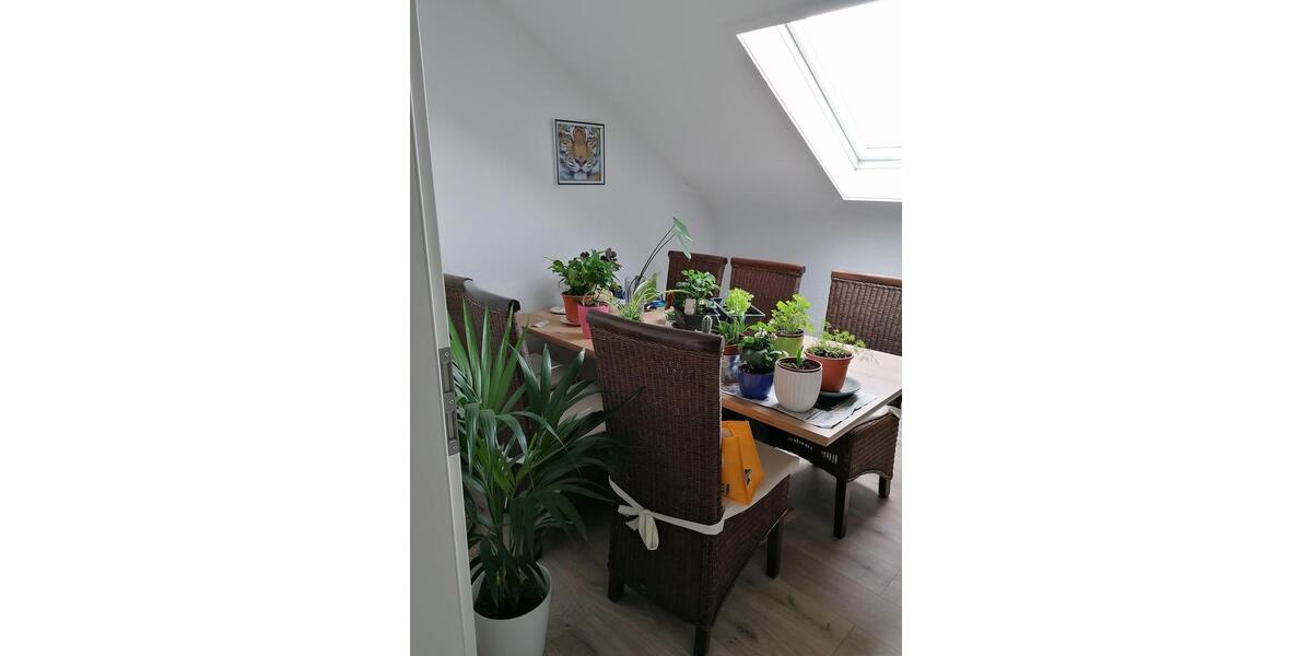 Dachgeschoßwohnung Schwaigern - 3.5 Zimmer, 70 m&sup2;, 850&euro; | Angebot:26539882
