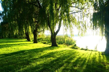 Wohnung Warin - 6 Zimmer, 130 m&sup2;, 980&euro; | Angebot:26045378