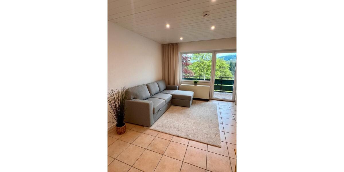 Erdgeschoßwohnung Willingen (Upland) - 1 Zimmer, 33 m&sup2;, 430&euro; | Angebot:26624514