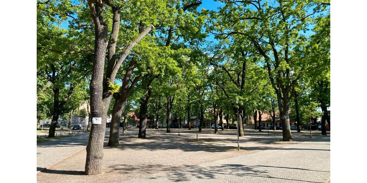 Wohnen auf Zeit Potsdam Babelsberg - 2 Zimmer, 50 m&sup2;, 1.400&euro; | Angebot:26463854