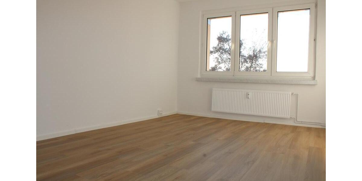 Etagenwohnung Beilrode - 2 Zimmer, 55 m&sup2;, 300&euro; | Angebot:24782868