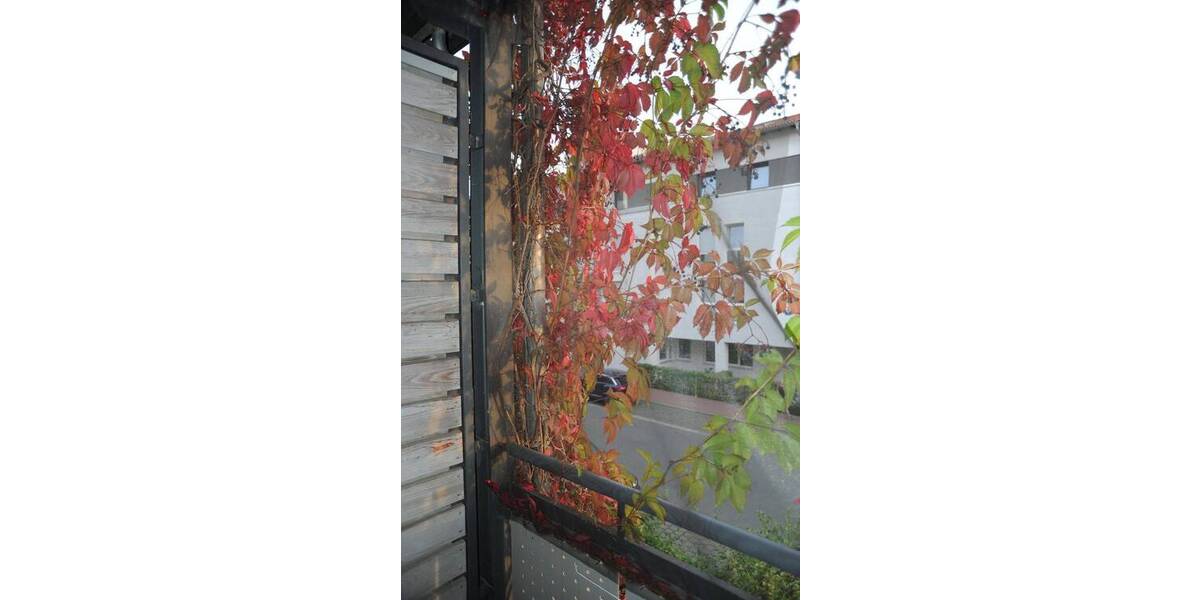 Etagenwohnung Bamberg Inselstadt - 3 Zimmer, 91 m&sup2;, 1.200&euro; | Angebot:26740955