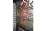 Etagenwohnung Bamberg Inselstadt - 3 Zimmer, 91 m&sup2;, 1.200&euro; | Angebot:26740955