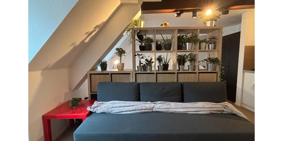 Dachgeschoßwohnung Freiburg im Breisgau - 1 Zimmer, 28 m&sup2;, 999&euro; | Angebot:24868663