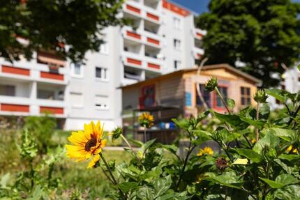 Wohnung Halle (Saale) Silberhöhe - 5 Zimmer, 77 m&sup2;, 600&euro; | Angebot:25974501