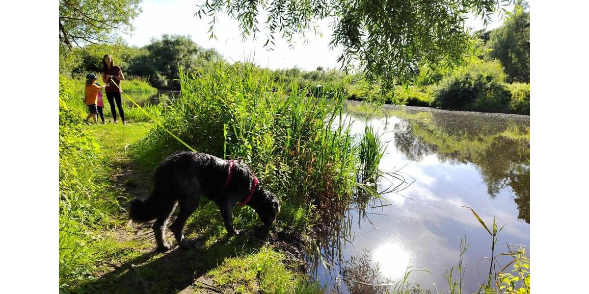 Wohnen auf Zeit Müssen - 7 Zimmer, 170 m&sup2;, 650&euro; | Angebot:22598812