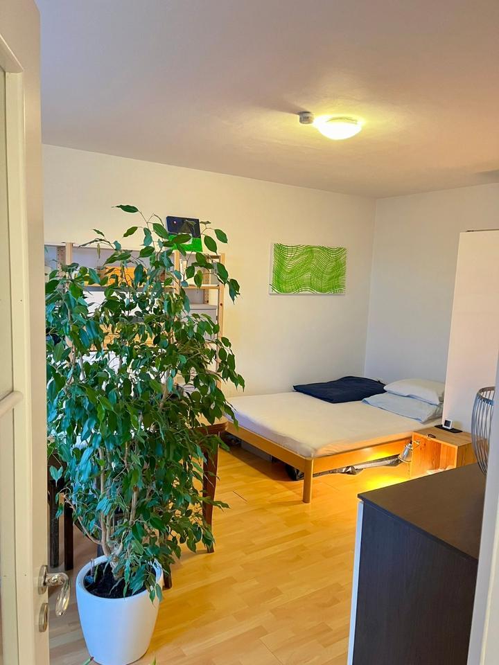 Möblierte 1-Zi-Wohnung 30qm Zwischenmiete München-Moosach 6 Mon.