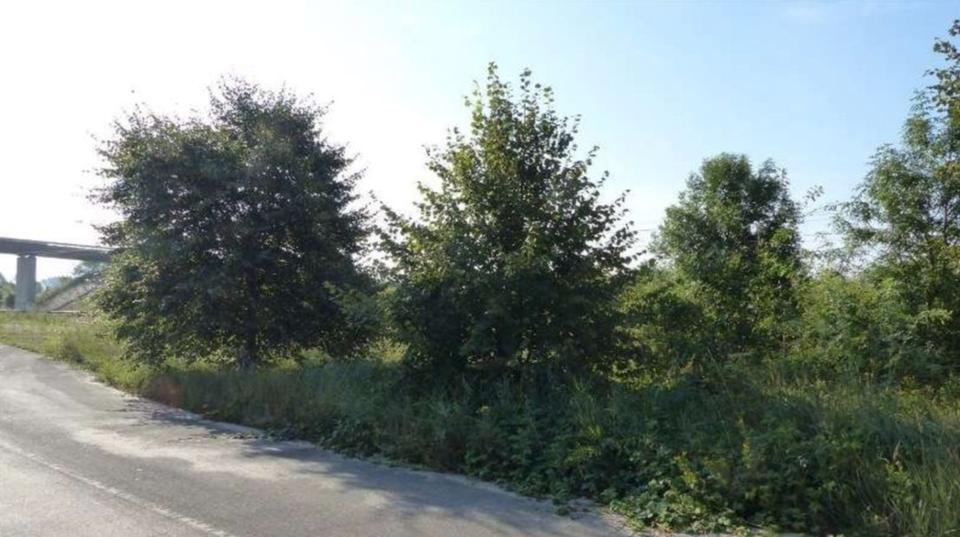 kleines Grundstück (Wiese)