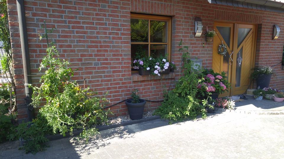 Einfamilienhaus Neetze - 5 Zimmer, 135 m&sup2;, 1.700&euro; | Angebot:25088905