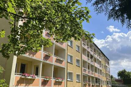 Wohnung Thalheim - 3 Zimmer, 62 m&sup2;, 298&euro; | Angebot:27076103