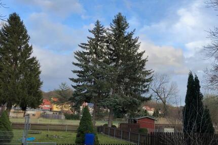 Wohnung Teuchern - 2 Zimmer, 43 m&sup2;, 308&euro; | Angebot:25268574