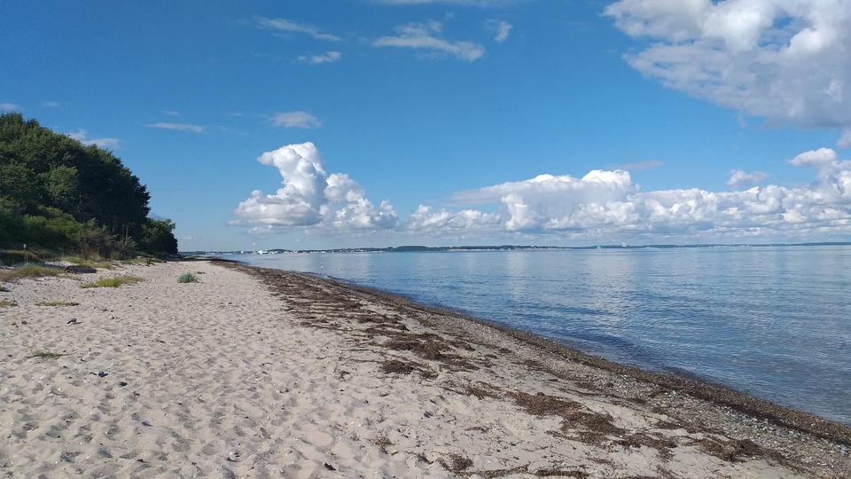 sehr ländliche 2-Zi. Wohnung m. Terrasse u Garten, Ostseenähe 2 zimmer