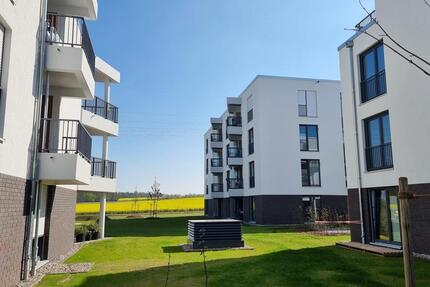 KEINE ANRUFE - nur schriftliche Anfragen - großzügige 1 Zimmer - Balkon - Tiefgarage - SB 3 Whg. 12 zimmer
