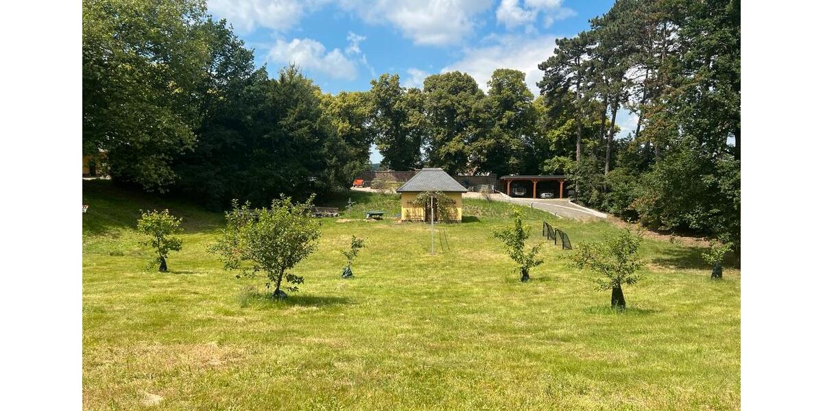 Erdgeschoßwohnung Grimma - 1 Zimmer, 65 m&sup2;, 720&euro; | Angebot:24566019