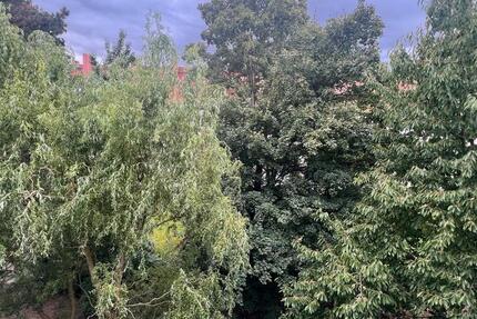 3 Zimmer Wohnung Appartment zum 1.12. + Gartenmitbenutzung 3 zimmer