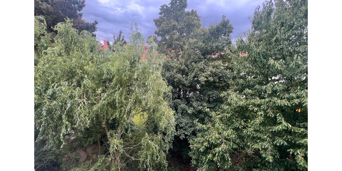 3 Zimmer Wohnung Appartment zum 1.12. + Gartenmitbenutzung 3 zimmer