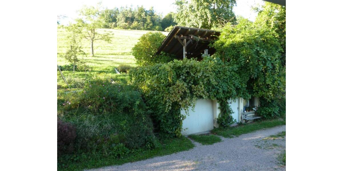 Wohnen auf Zeit Kleines Wiesental - 2 Zimmer, 51 m&sup2;, 500&euro; | Angebot:26691486