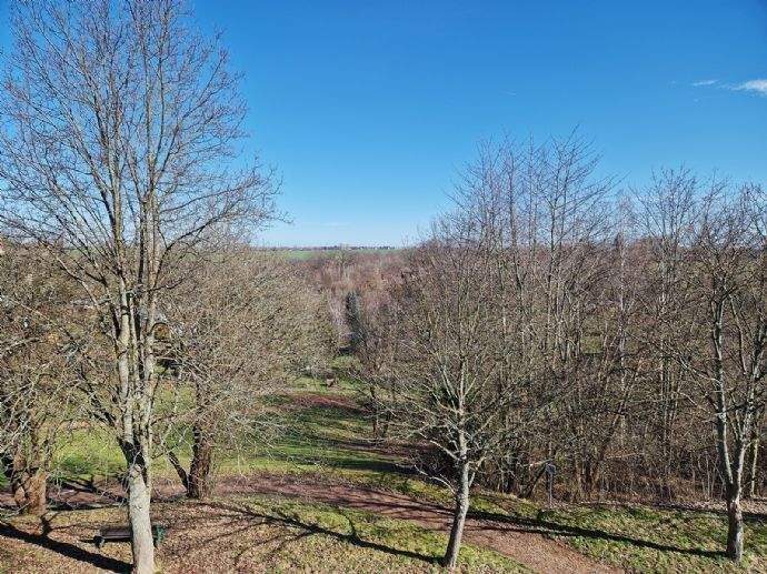 Etagenwohnung Leisnig - 4 Zimmer, 68 m&sup2;, 380&euro; | Angebot:23866358