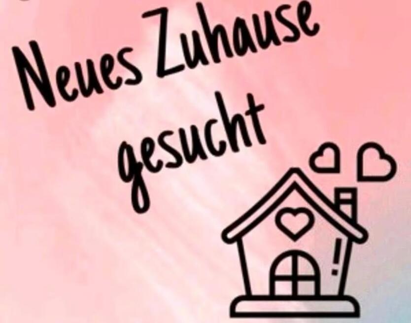 Erdgeschoßwohnung oder kleines Häuschen