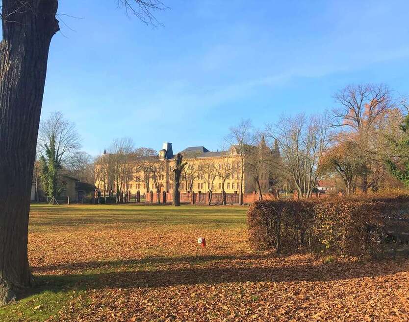 NEU -frisch renoviert. Gut geschnittene 4 Zimmer mit Balkon und Einbauküche! 4 zimmer