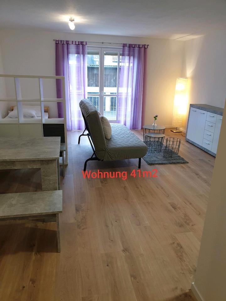 Schönes Apartment 41 qm Balkon Sofort frei!