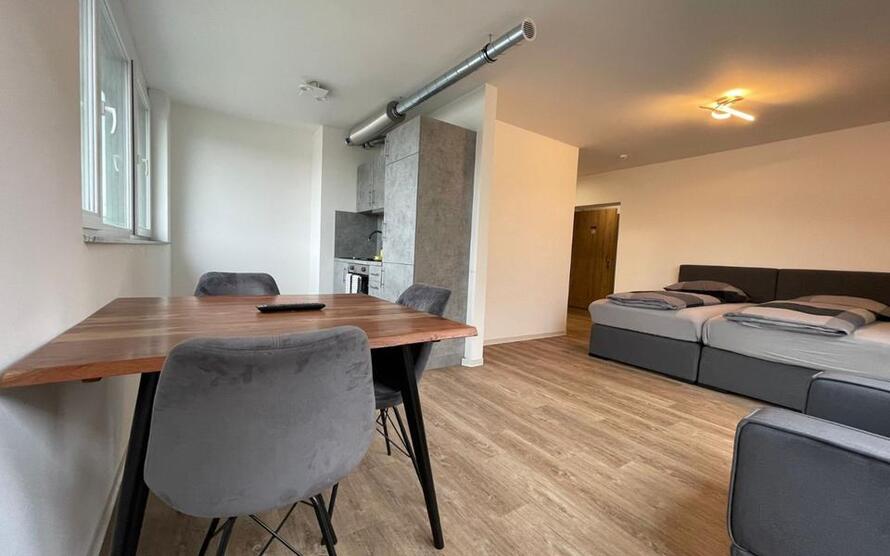 1-Zimmerwohnung (8), Boardinghouse, mit TV, Wlan, Küche, DuscheWc, Waschmaschine, Trockner