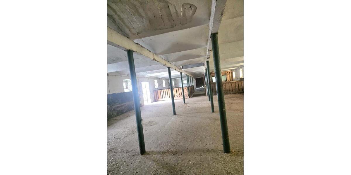 Pferdestallanlage mit Weideflächen in Kriebstein OT Ehrenberg zur Pacht! - Gewerbeobjekt Kriebstein Ehrenberg | Angebot:27212877