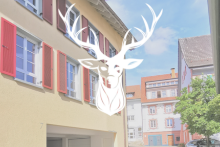 Wohnung zum Mieten in Waldshut- Tiengen 1.200 € 105 m² 3 zimmer