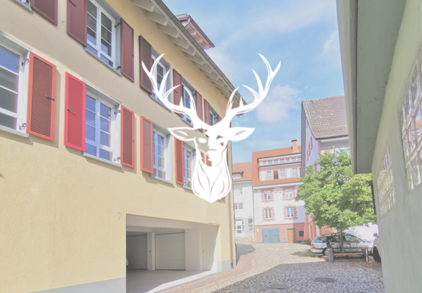 Wohnung zum Mieten in Waldshut- Tiengen 1.200 € 105 m² 3 zimmer