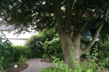 Wohnung Schwerte - 2 Zimmer, 40 m&sup2;, 520&euro; | Angebot:25180274