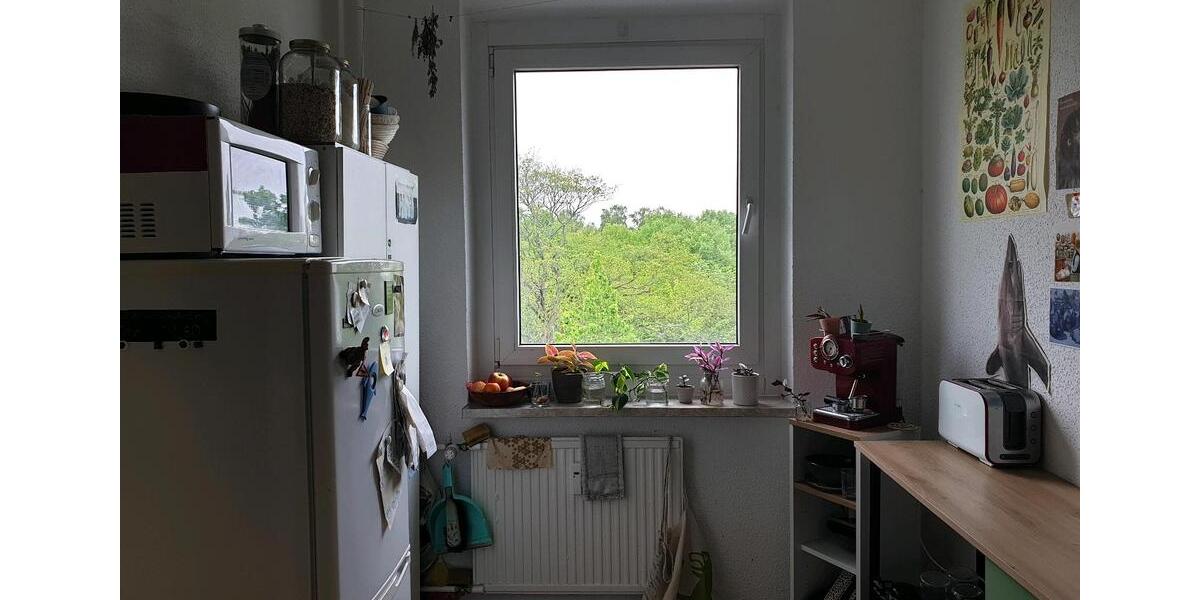 Wohnen auf Zeit Greifswald Groß Schönwalde - 1 Zimmer, 60 m&sup2;, 315&euro; | Angebot:26492588