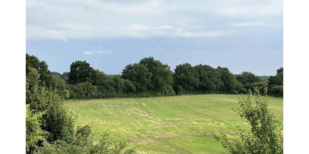 Gewerbeobjekt Badendorf - 21.000&euro; | Angebot:25971217