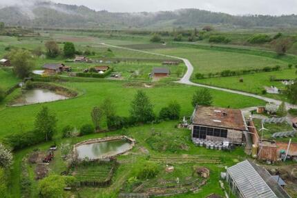 Wohnen auf Zeit Endingen am Kaiserstuhl - 1 Zimmer, 13 m&sup2;, 400&euro; | Angebot:25910615