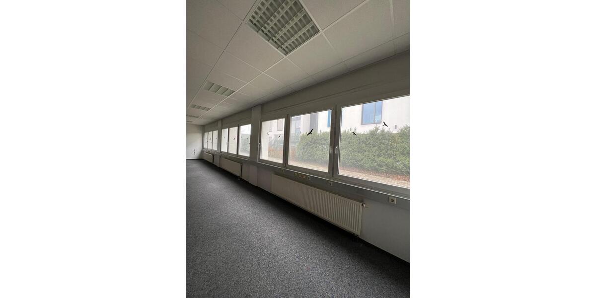 Gewerberäumlichkeit im Gewerbegebiet Rot-Malsch zu vermieten zimmer