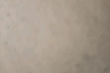 WG-Zimmer (14 qm) frei ab Februar – 300 € warm – für Studentin 1 zimmer