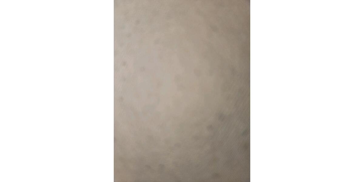 WG-Zimmer (14 qm) frei ab Februar – 300 € warm – für Studentin 1 zimmer