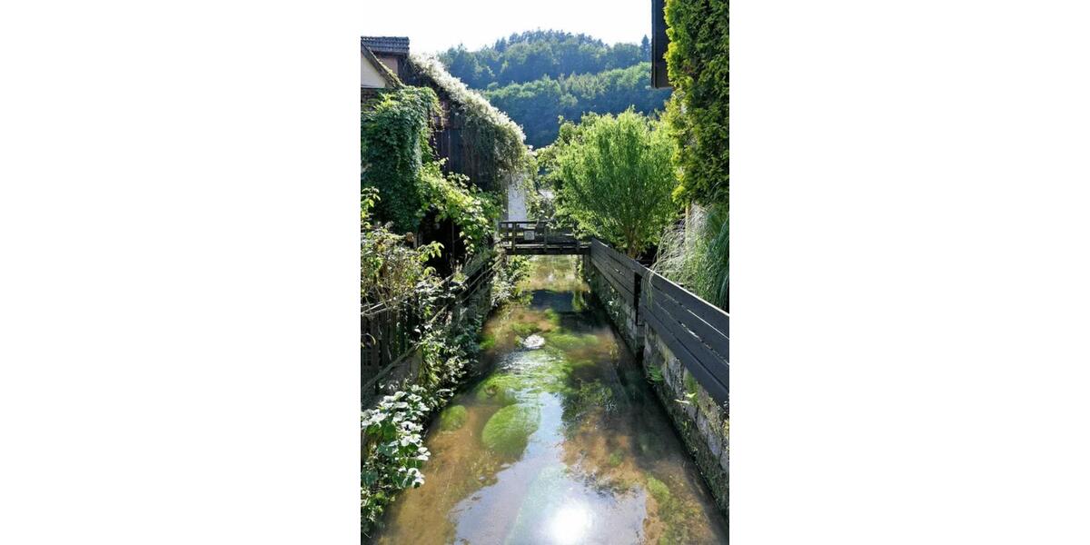 Wohnen auf Zeit Weidenthal - 2 Zimmer, 120 m&sup2;, 35&euro; | Angebot:25725363