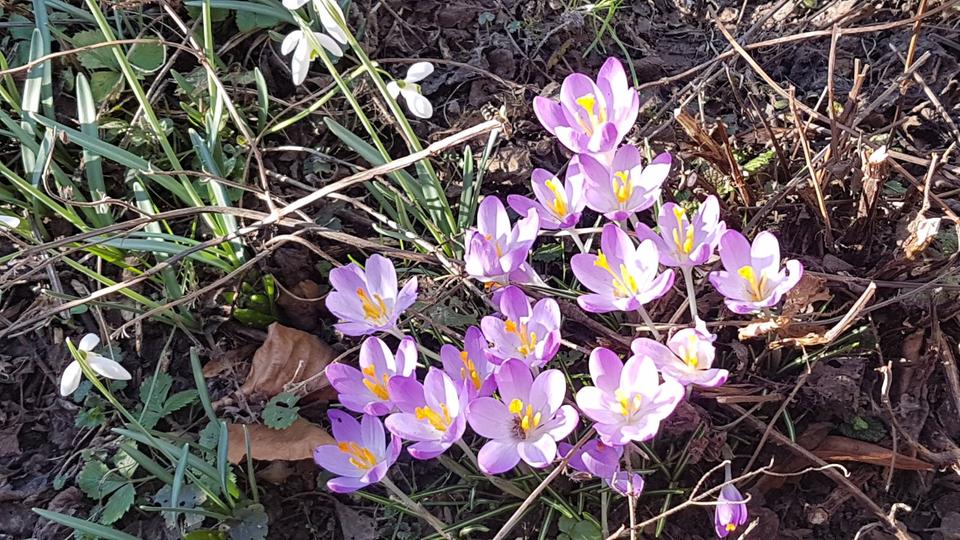 Etagenwohnung Detmold Hakedahl - 4 Zimmer, 100 m&sup2;, 800&euro; | Angebot:25371642