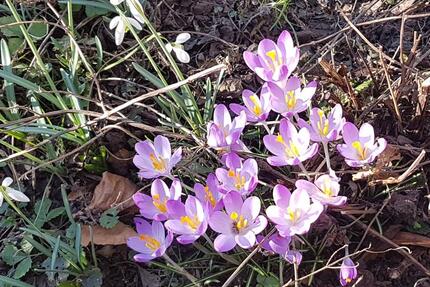 Wohnung Detmold Hakedahl - 4 Zimmer, 100 m&sup2;, 800&euro; | Angebot:25371642