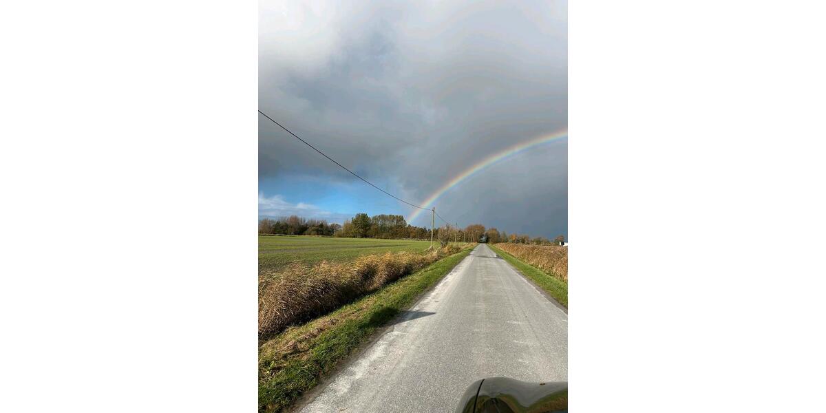 Wohnung in grüner Oase 4 zimmer