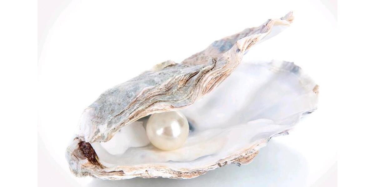 Etagenwohnung Ingolstadt Münchener Straße - 3 Zimmer, 70 m&sup2;, 700&euro; | Angebot:26047338