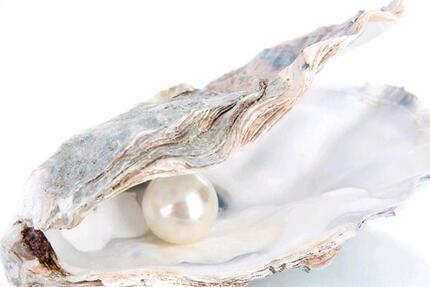 Wohnung Ingolstadt Münchener Straße - 3 Zimmer, 70 m&sup2;, 700&euro; | Angebot:26047338