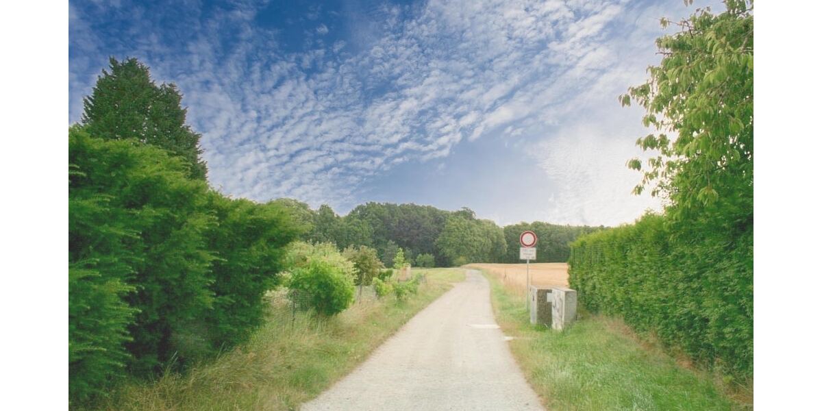 Lubachau - Familienglück im Grünen 7 zimmer