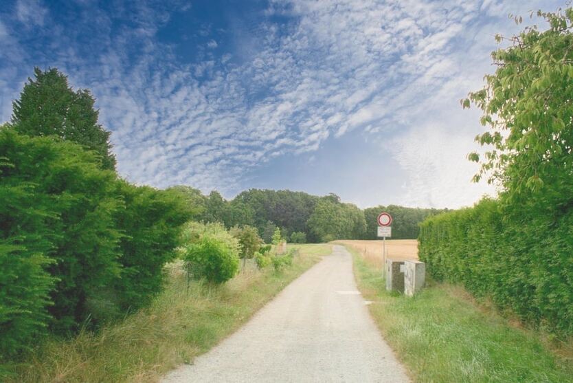 Lubachau - Familienglück im Grünen 7 zimmer