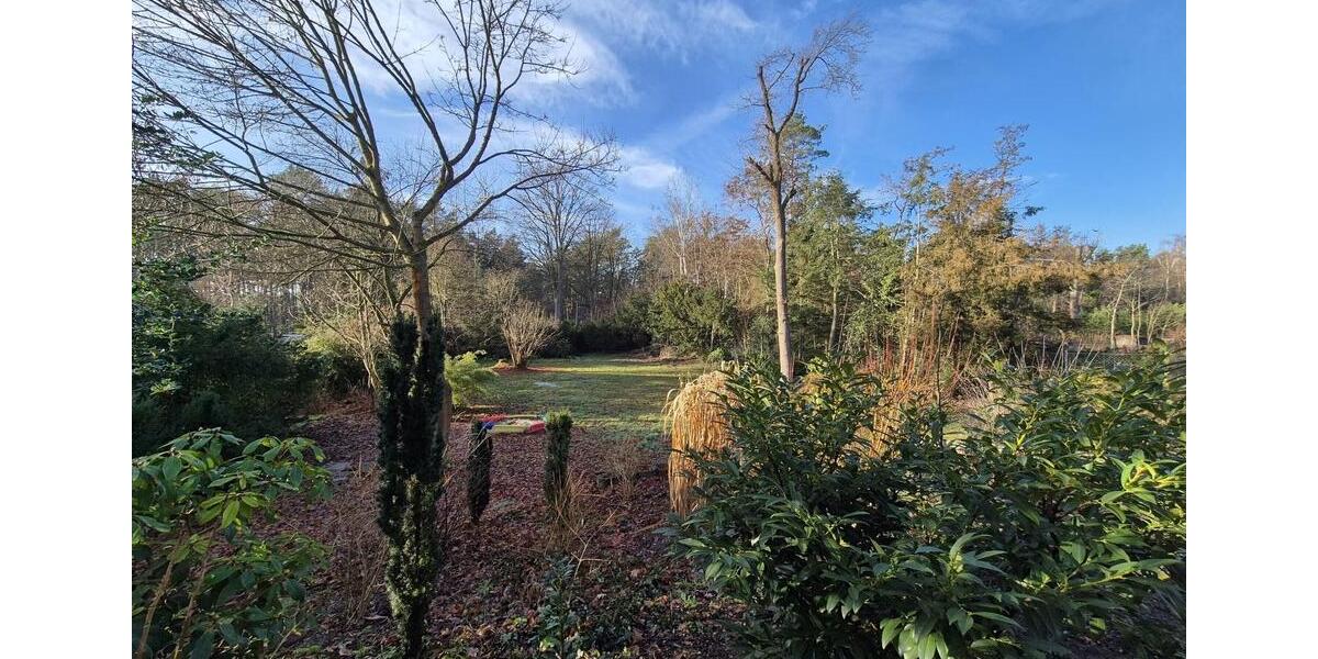 Einfamilienhaus Gifhorn - 5 Zimmer, 157 m&sup2;, 1.350&euro; | Angebot:24395376