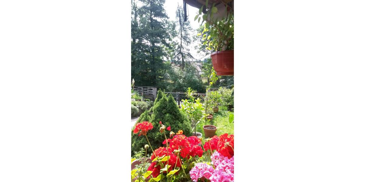 Ferienwohnung Alte Korbmacherei 3 zimmer